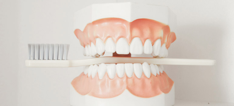 Großes Zahnputzmodell mit Zahnbürste zwischen den Zähnen